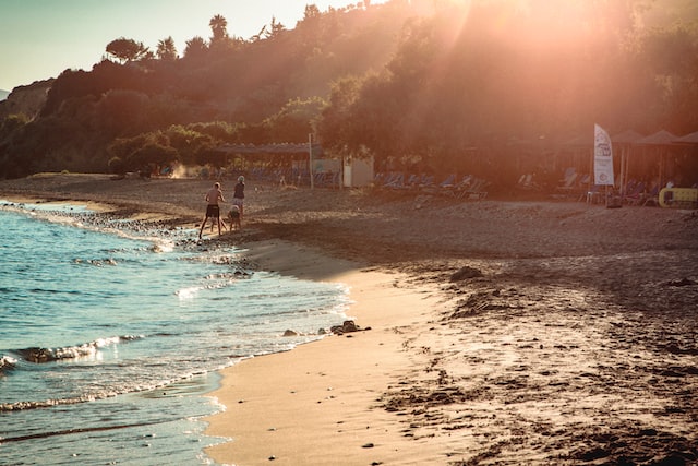 Dennys-Inn-Hotel-Kalamaki-Zakynthos-Dafni-Beach